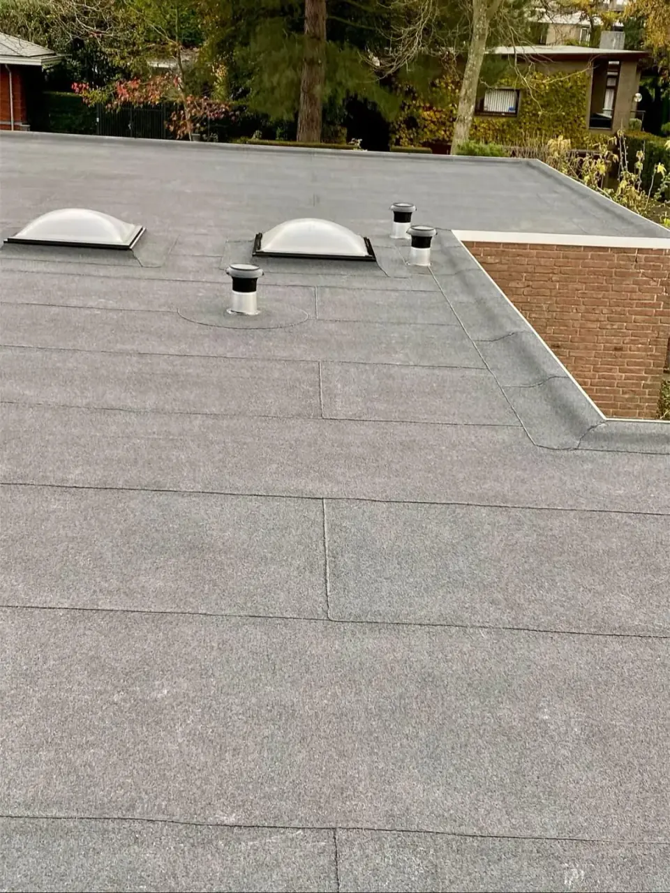 Plat dak met twee lichtkoepels